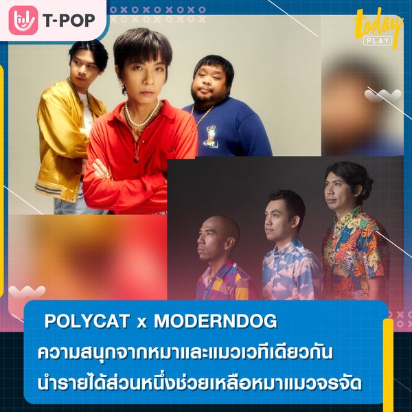 POLYCAT x MODERNDOG ความสนุกจากหมาและแมว ในคอนเสิร์ตเดียวกัน RAINING CATS & DOGS นำรายได้ส่วนหนึ่งช่วยเหลือหมาแมวจรจัด